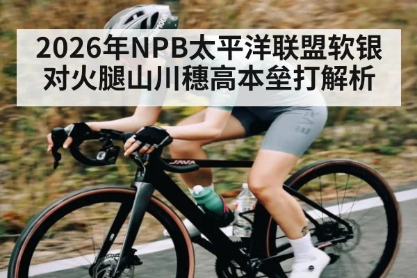 2026年NPB太平洋联盟软银对火腿山川穗高本垒打解析